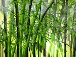 filosofi bambu